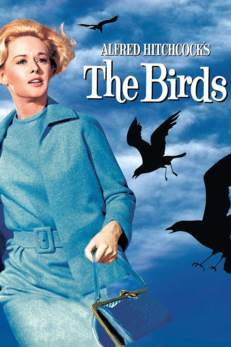 鳥（1963）